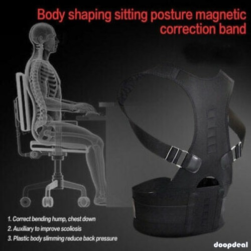 BACK PAINS LEADING BELT