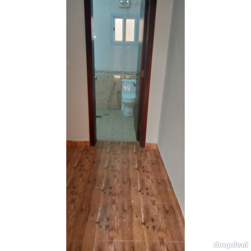 one bedroom and studios