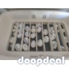 Parrots eggs for sale 